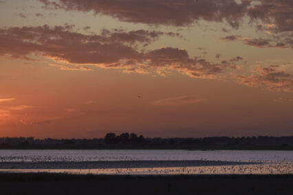 Breydon Water